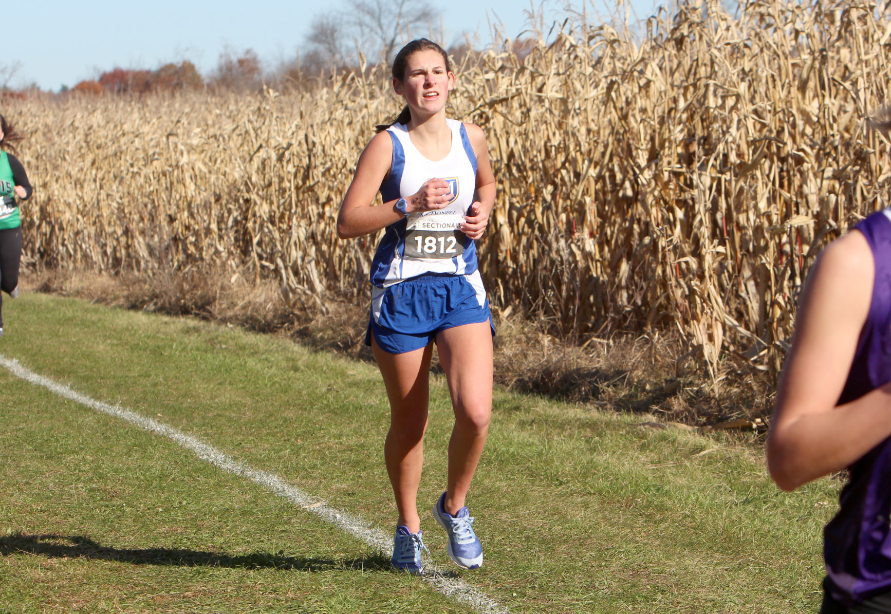 Division 3 Cross Country Sectionals in Boyceville 10-26-19